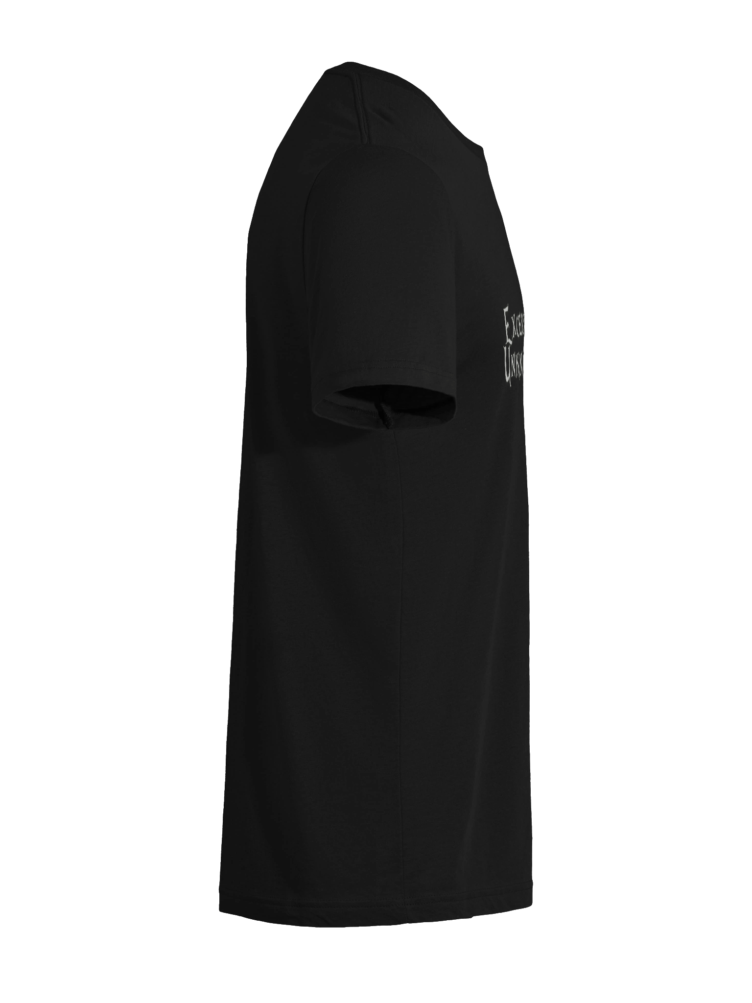 Excerpts from an Unknown Guidebook - Bella+Canvas Triblend Short Sleeve T-Shirt product image (12)