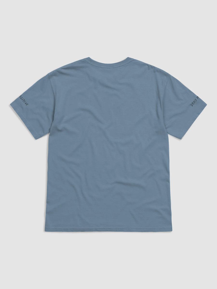 "Stay Positive" Comf. Tee product image (4)
