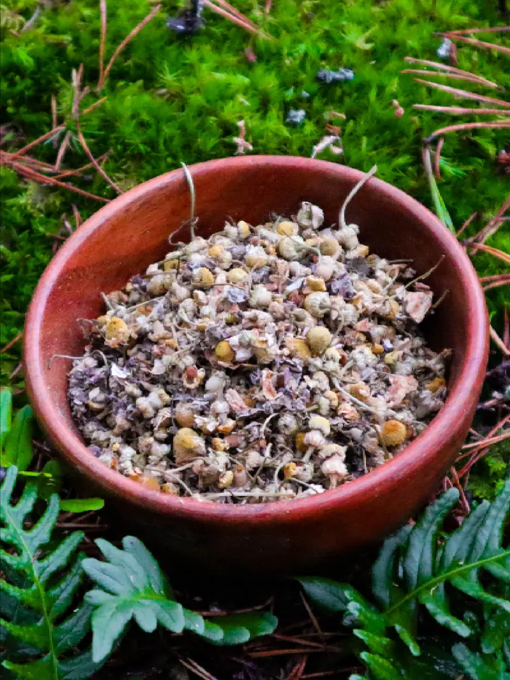 Elven Fairy Queen Infusion (I) product image (1)