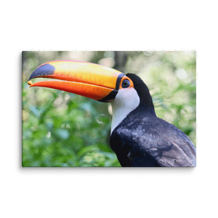A Hungry Toucan product image (1)