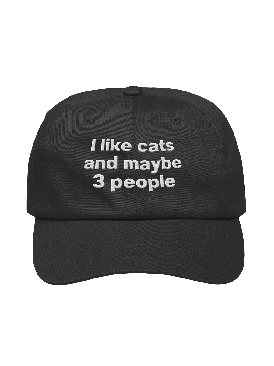 I like cats and maybe 3 people Embroidered Hat product image (7)