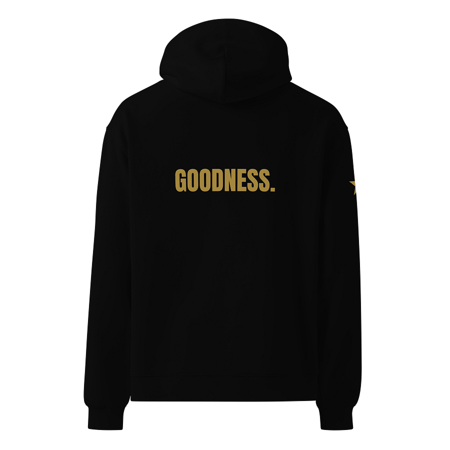 Branded GZ JEITEN Hoodie | Fruits Of The Spirit Edition (Goodness) product image (3)