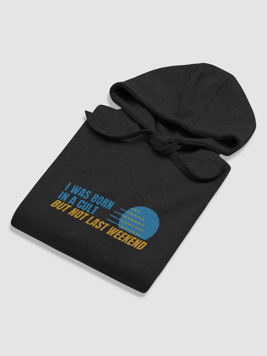Born In A Cult Unisex Premium Hoodie product image (69)