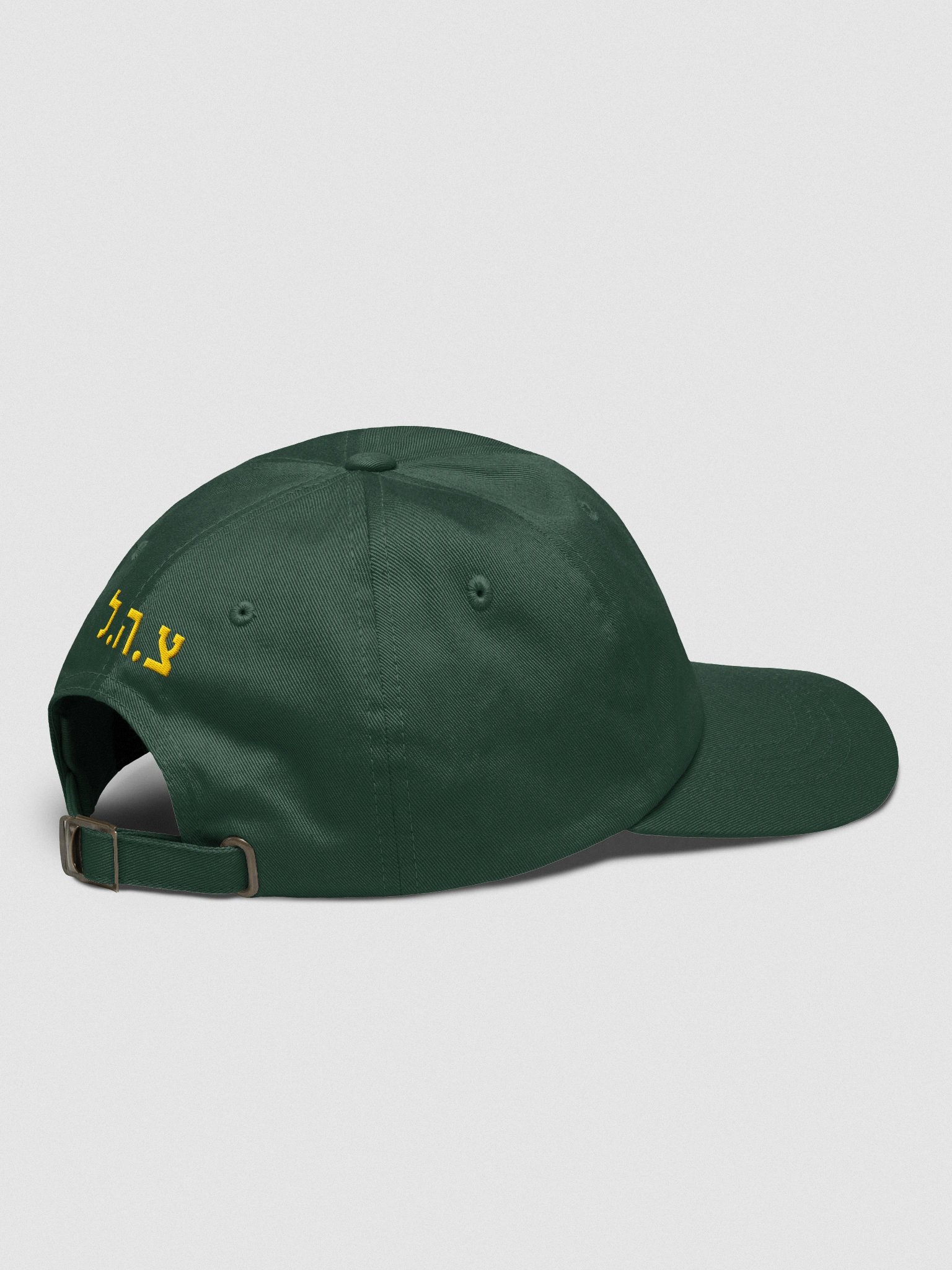 ISRAEL DEFENSE FORCES Classic Cap product image (7)