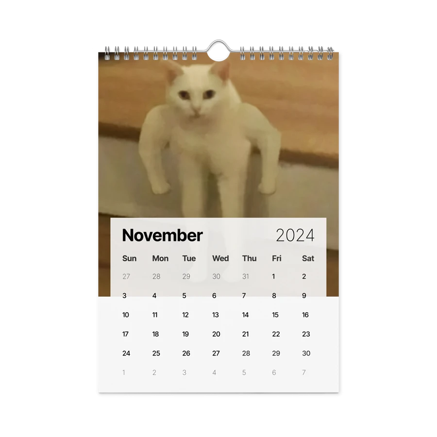 Wall Calendar (2024): Meme Cats product image (15)