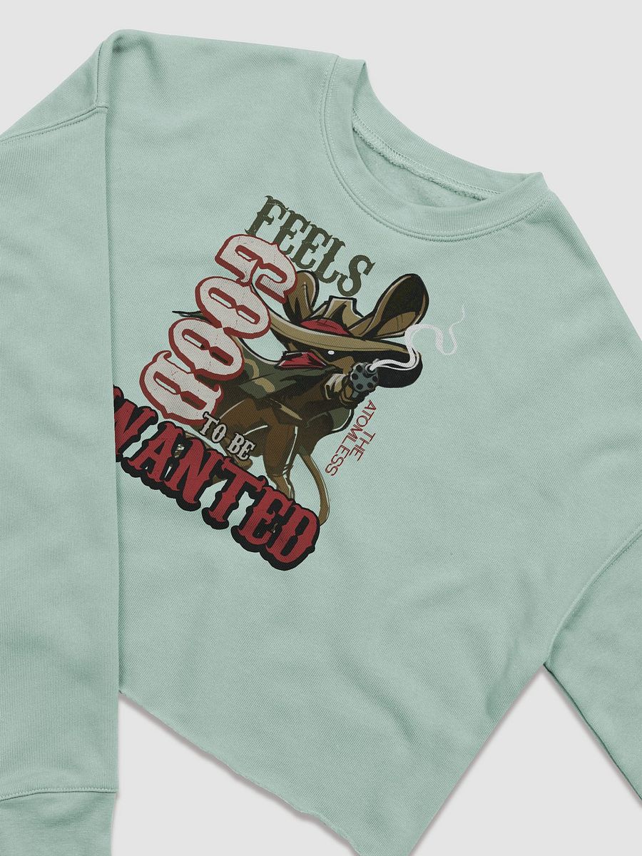 WANTED crop hoodie product image (27)