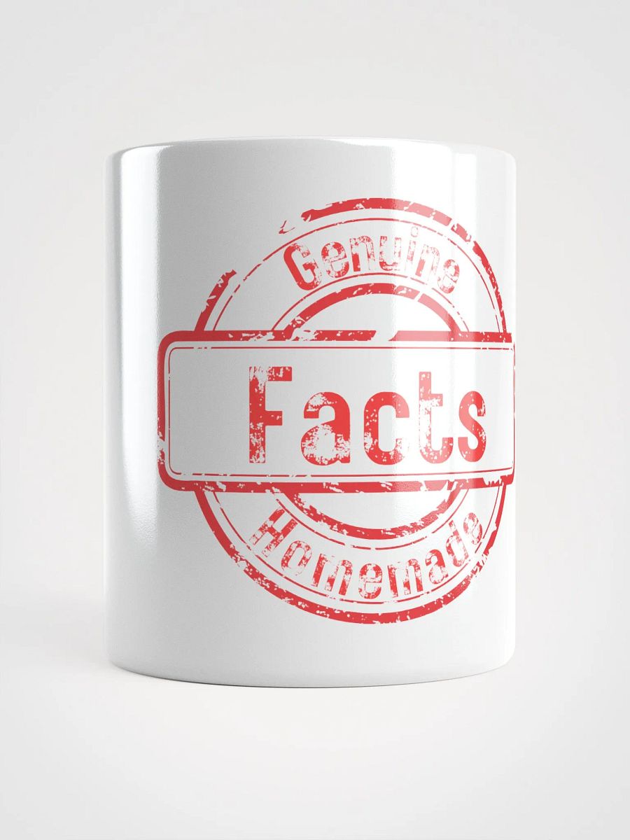 Ethan- Facts- White Glossy Mug product image (5)