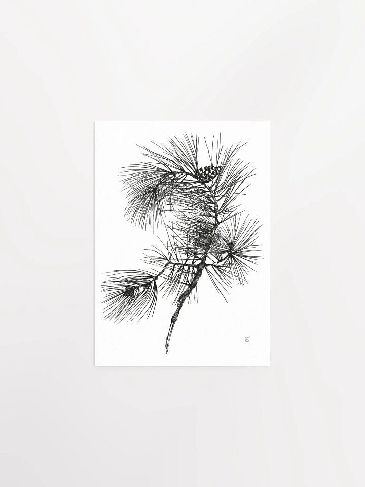 Whimsical Pine Branch Poster - Pine Branch product image (1)