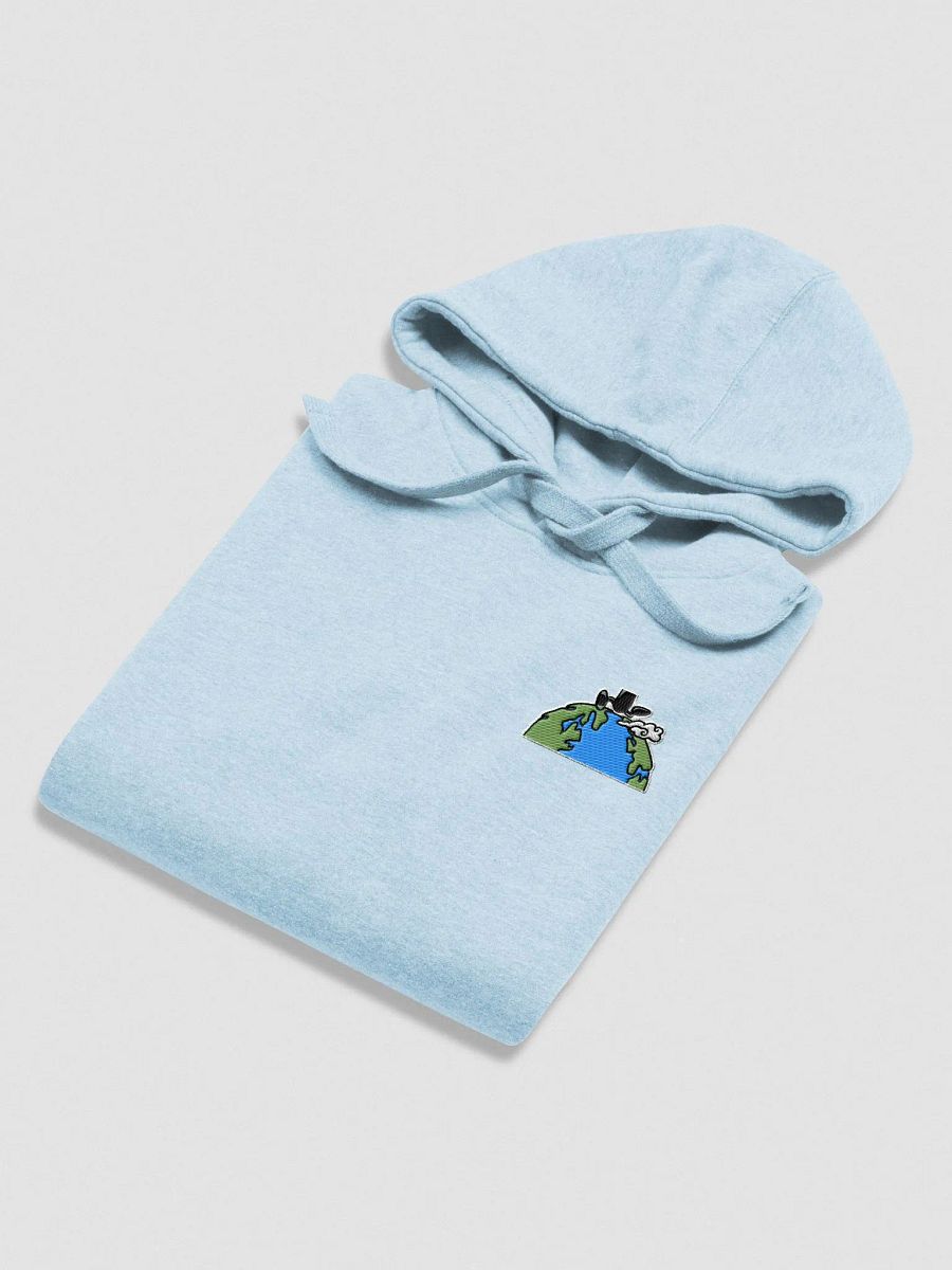 irushtheworld Embroidered Hoodie product image (8)