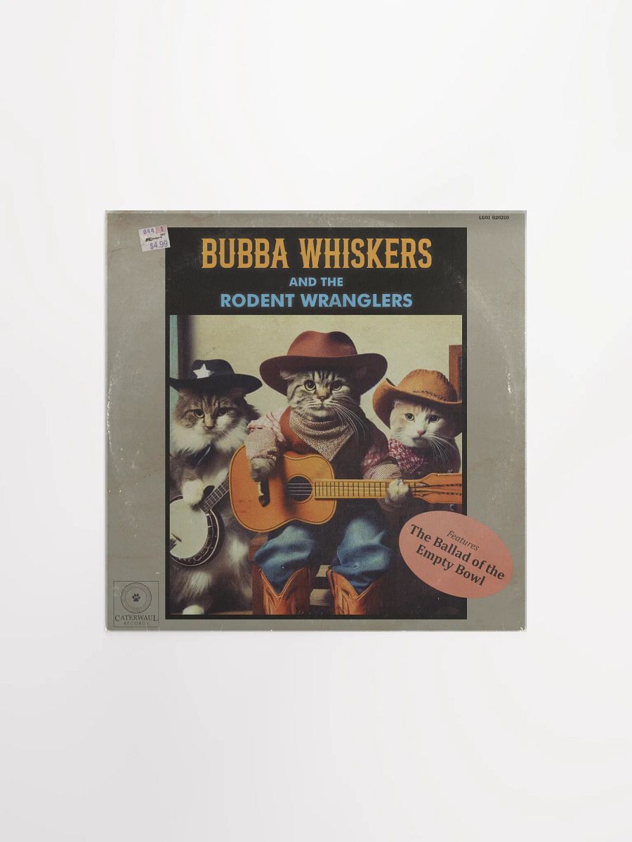 Bubba Whiskers poster - Album jacket (front) - 12