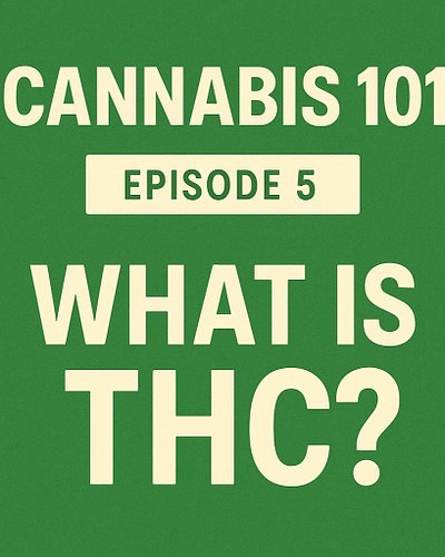 cannabis 101 🎬 Episode 5: What Is THC?

“THC = the main psychoactive part of cannabis.”
🧪 “It’s what gives you the ‘high’ fee...