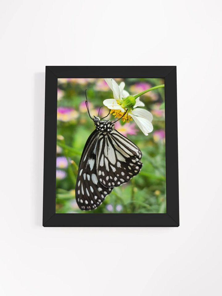 Tropical Paper Kite Butterfly Framed Matte Poster #2 product image (2)