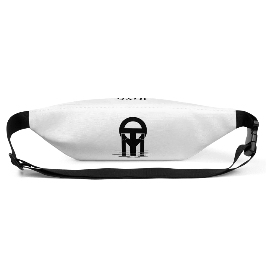 the fanny for the fannie product image (3)