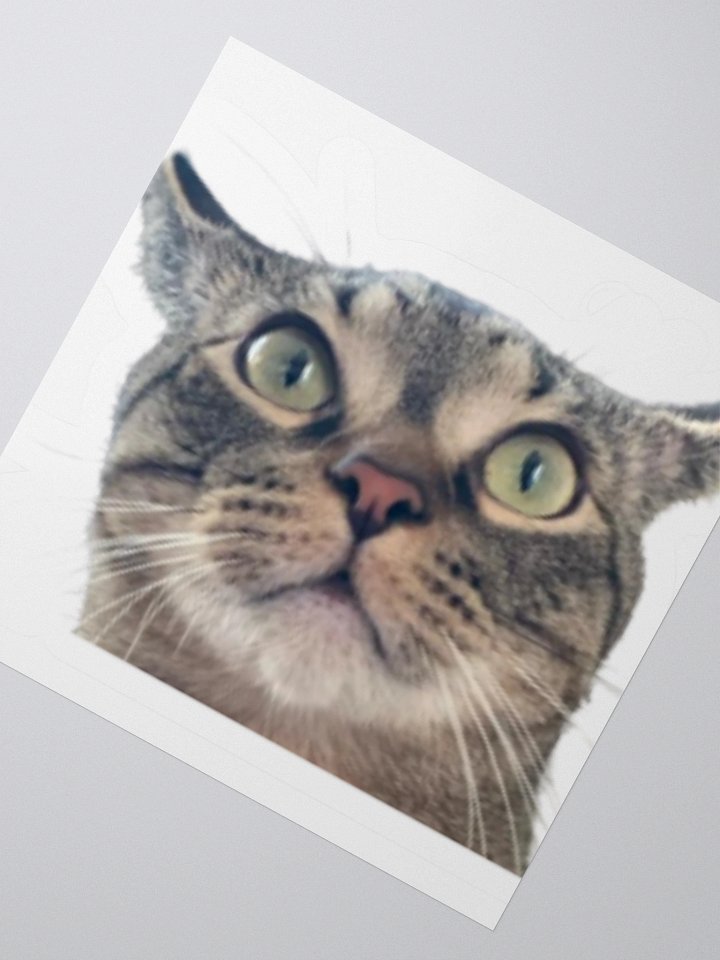 Luke Sticker product image (5)