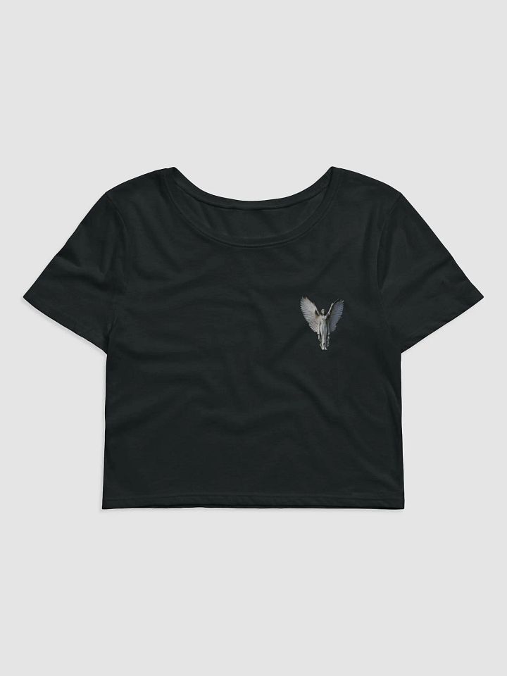 Majestic Angelic Wings Crop Tee product image (1)