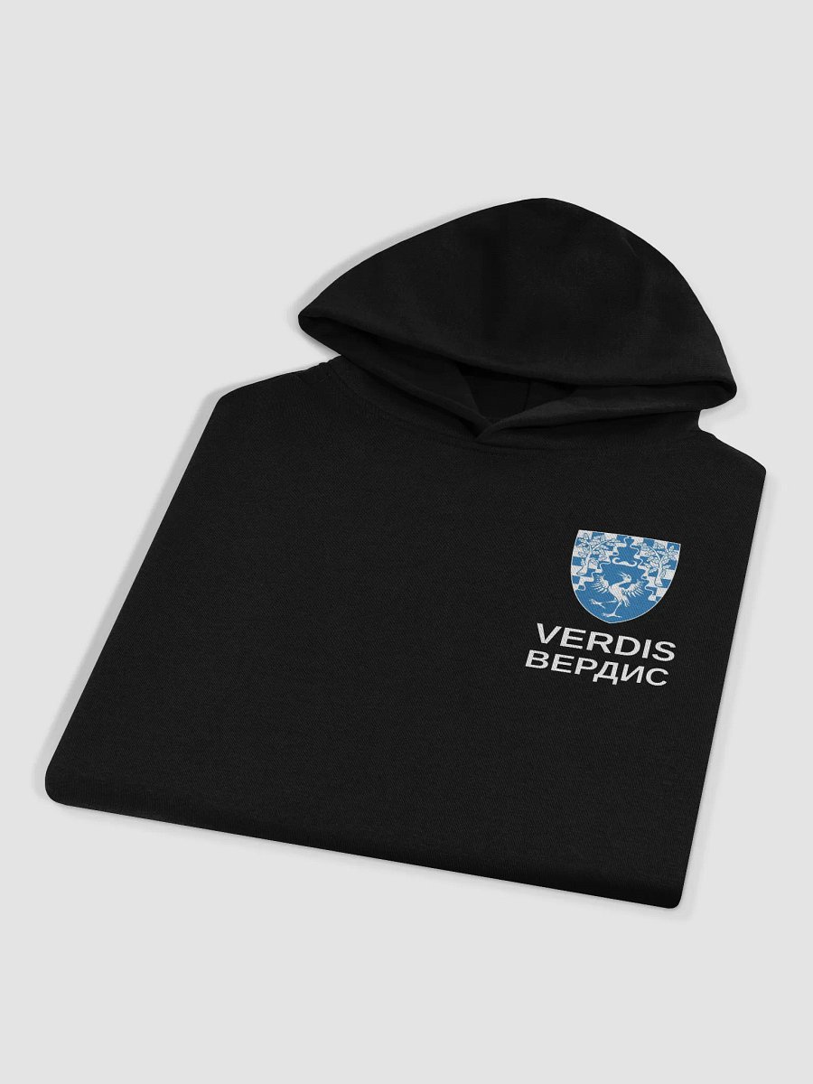 Coat of Arms Oversized Hoodie product image (3)