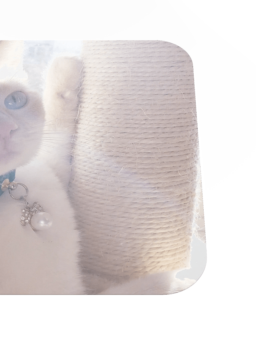 Ivry Glamour Shot product image (5)
