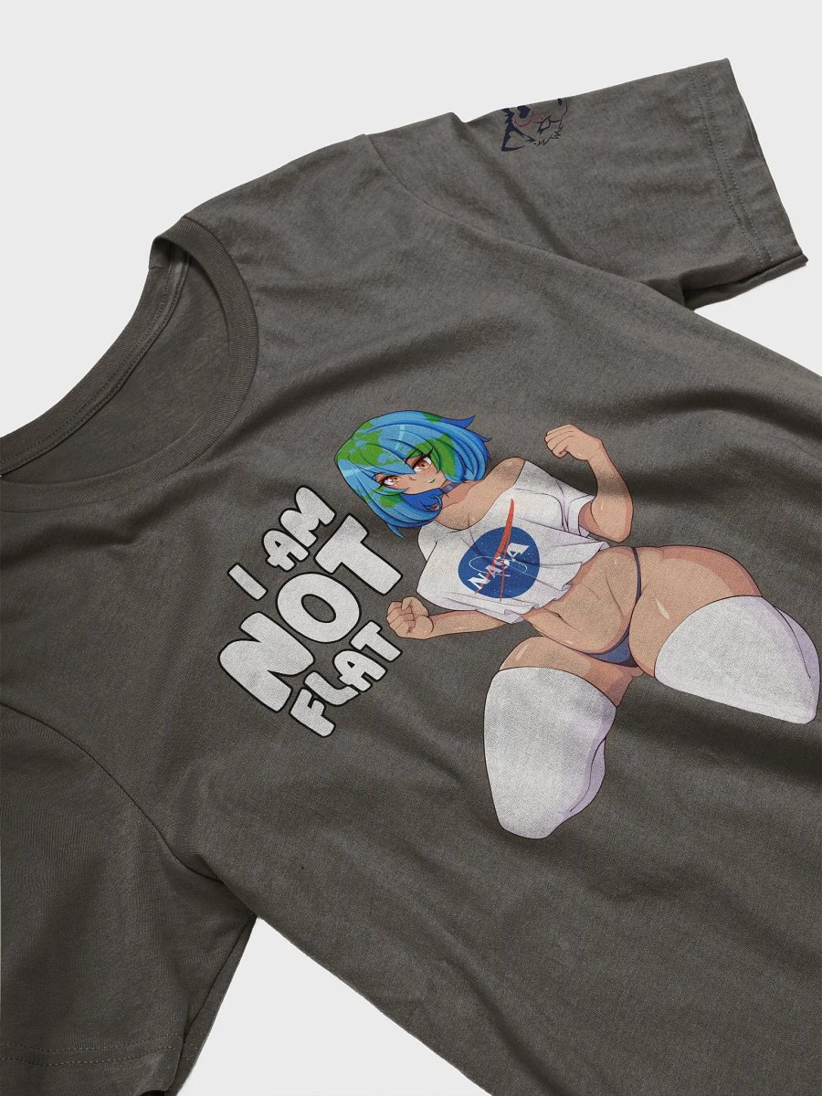 Earth is not flat product image (4)