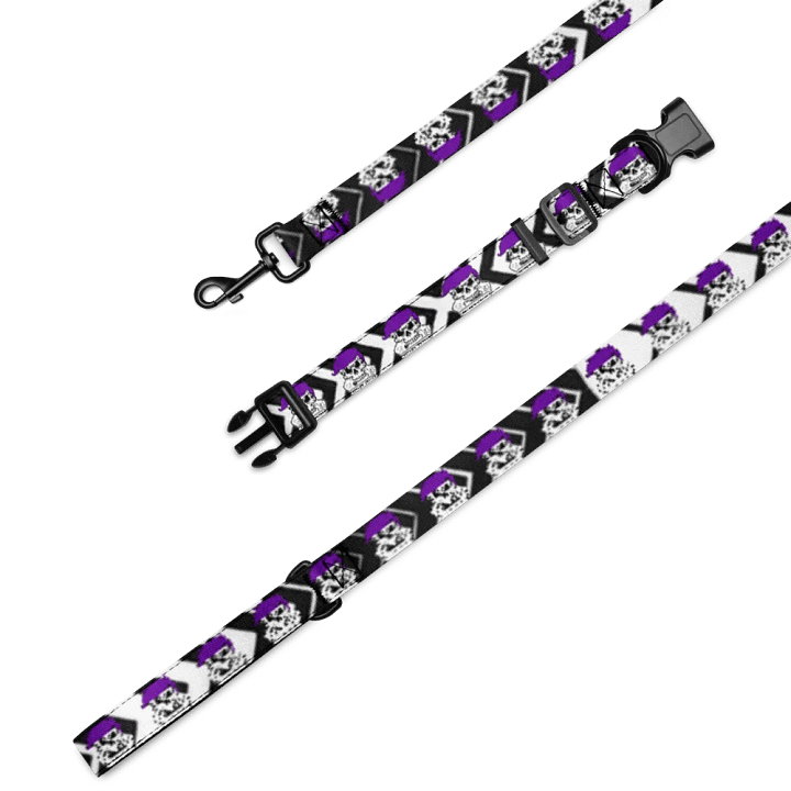 Enigma Nation Pet Collar & Leash product image (1)