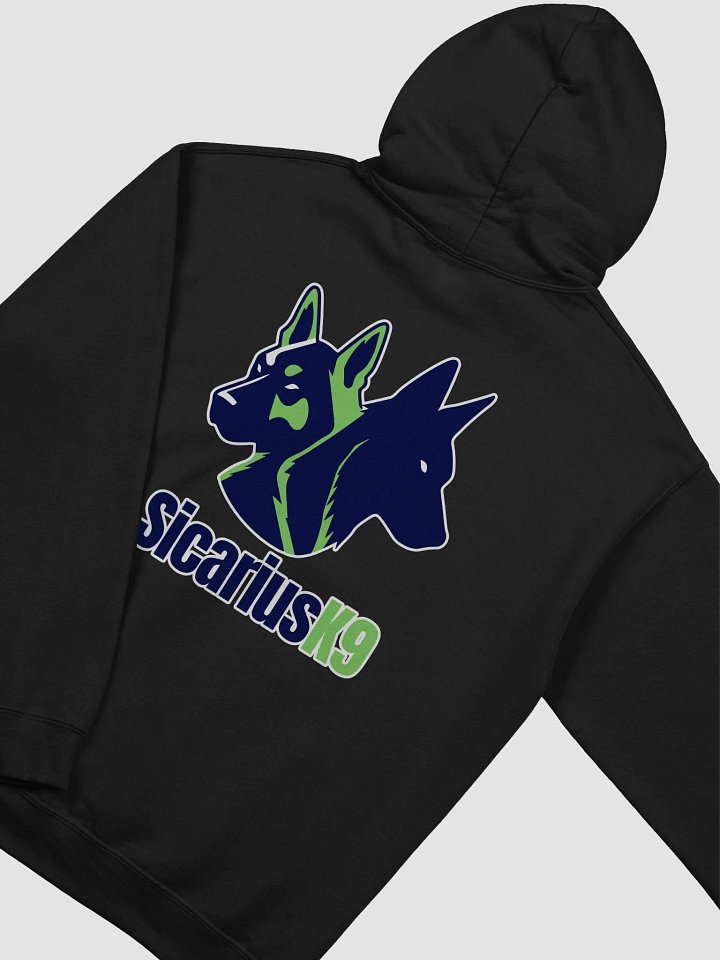 Logo Hoodie 2 Blue and Green product image (2)