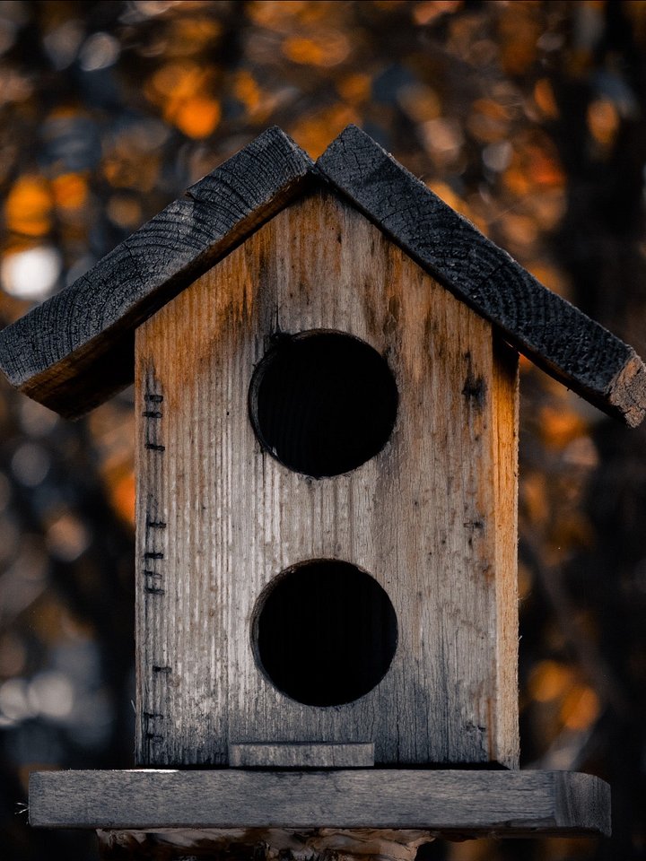 Fly Away Home. product image (2)