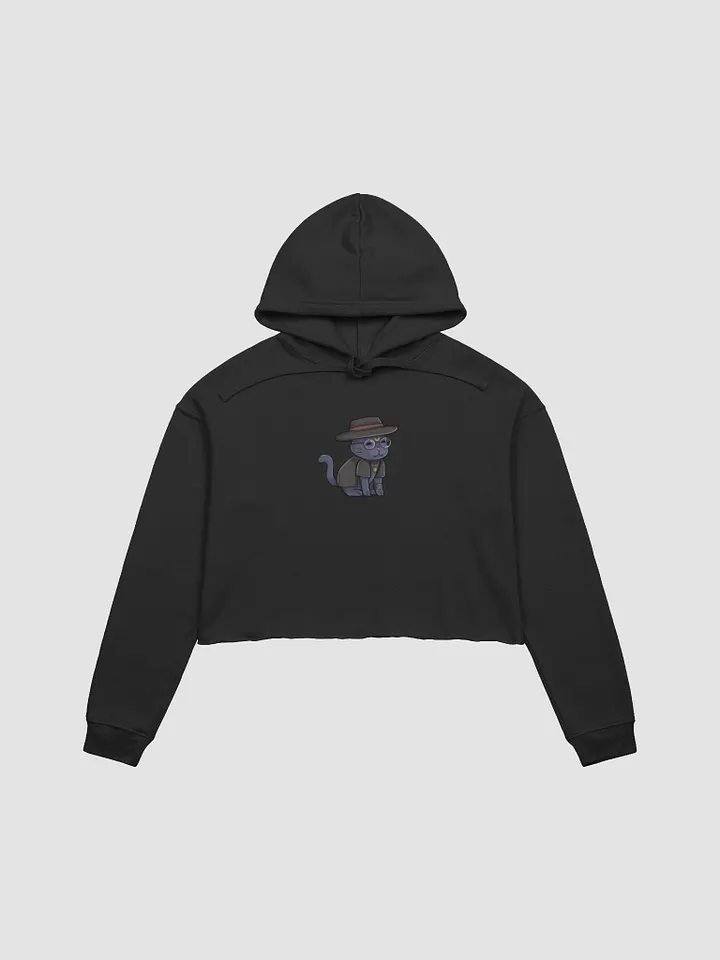 Mikayla Cropped Hoodie product image (1)