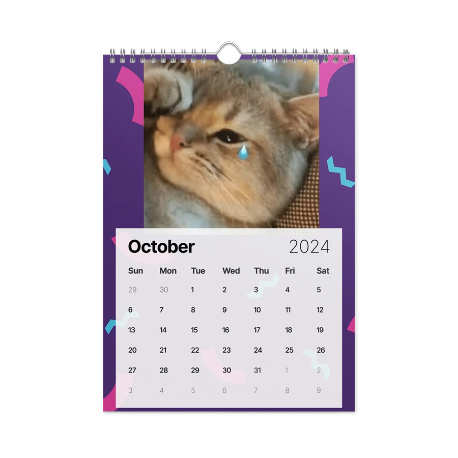 Wall Calendar (2024): Meme Cats product image (17)