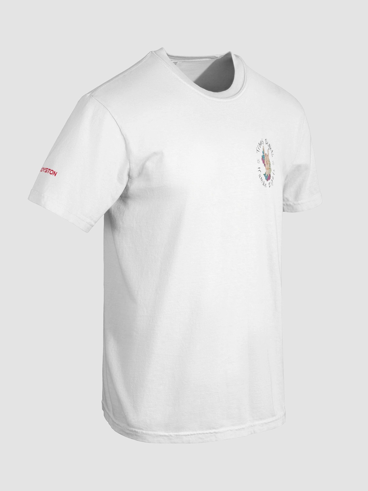 Trans Rights T-Shirt product image (28)