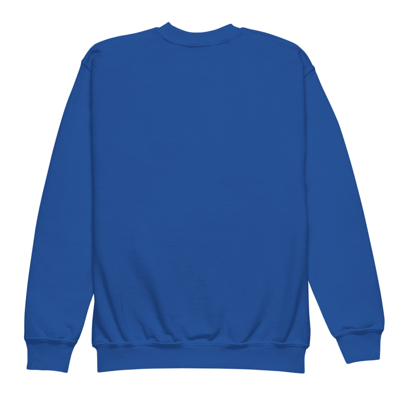 Snow Much Fun Winter Youth Sweatshirt product image (15)