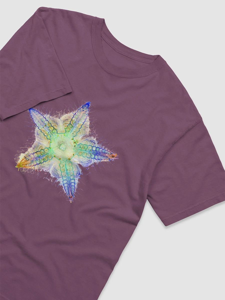 Starfish Nervous System product image (36)