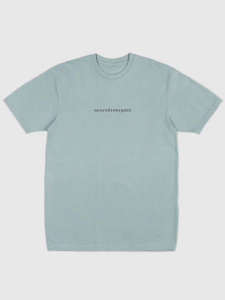 Neurodivergent Premium Heavyweight Tee product image (1)