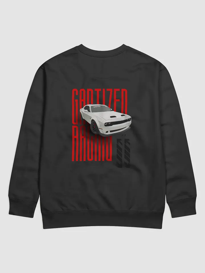 Gaptized Racin Sweater product image (2)