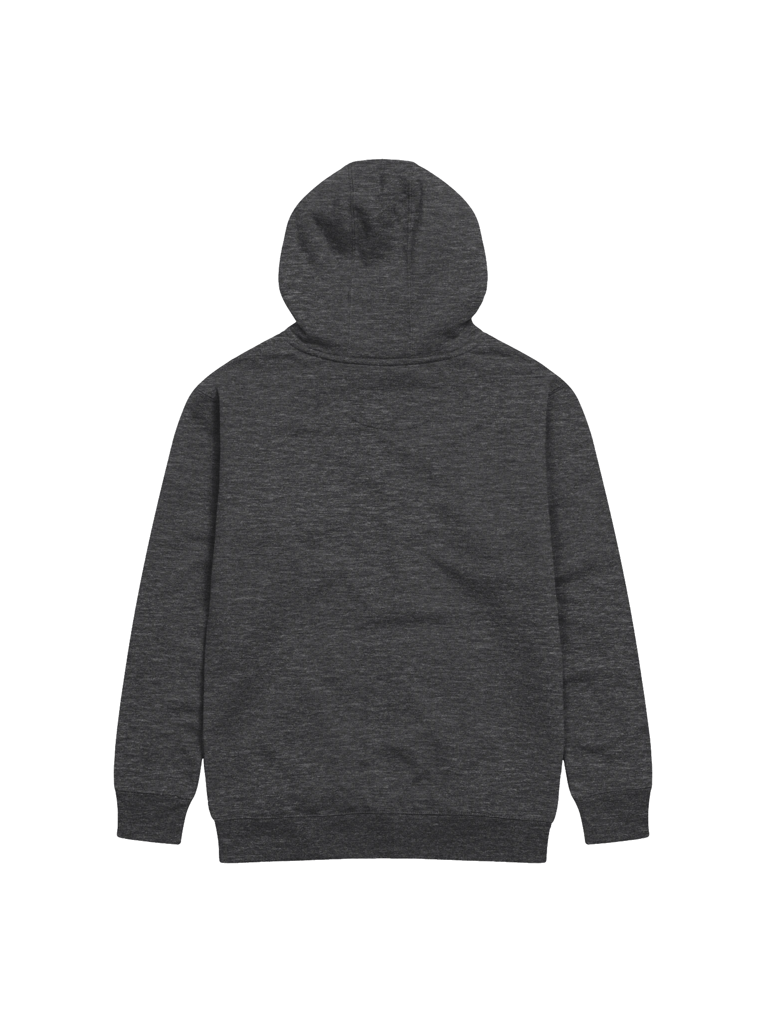 Talk To Me Lightly Embroidered Hoodie product image (2)