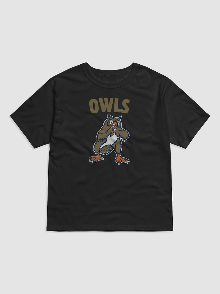 Oklahoma City Owls Champion Tee product image (2)