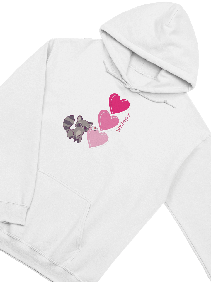 Whispy Raccoon Hoodie product image (25)
