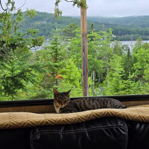 King Tucker has claimed his spot!  We are loving it here at Birch Haven Campground on Eagle Lake.  Lots of wildlife to keep t...