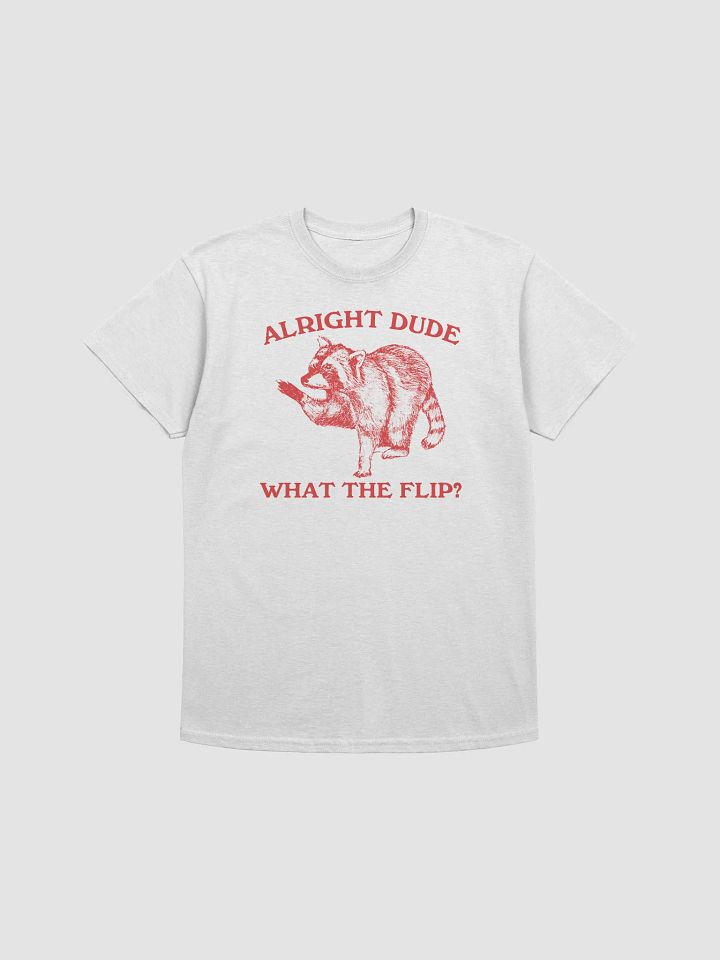 Alright dude what the flip raccoon product image (1)