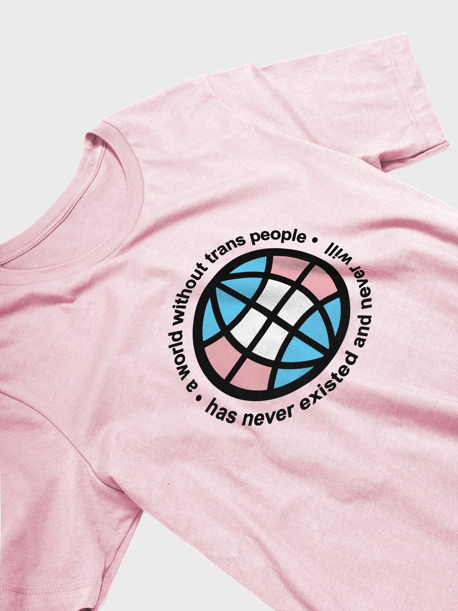 a world without trans people t-shirt product image (3)