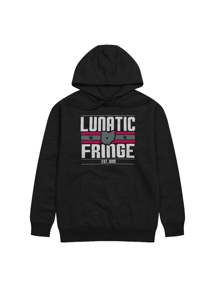 Lunatic Fringe Hoodie product image (1)