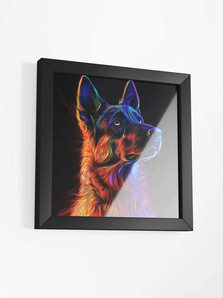 Belgický ovčák Malinois, neonový product image (30)