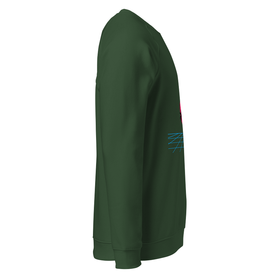 Synthwave Sunset Raglan Sweatshirt product image (4)