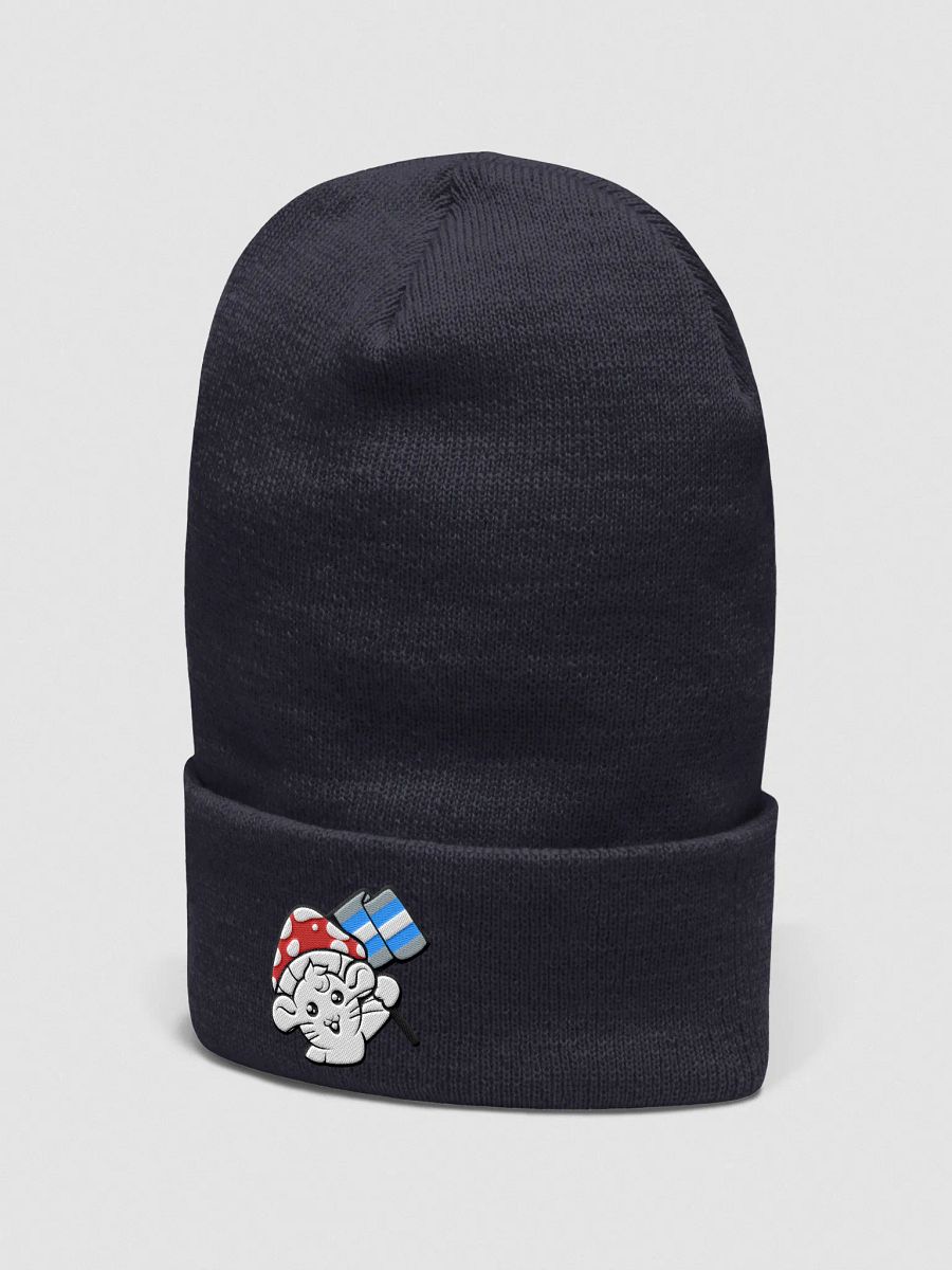 Demiboy beanie product image (3)