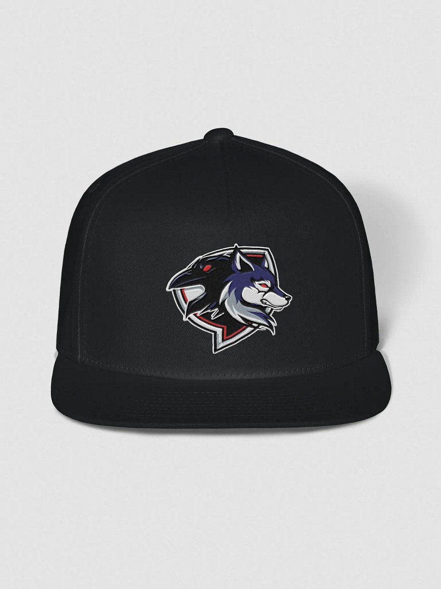 Raven Logo Snapback product image (1)