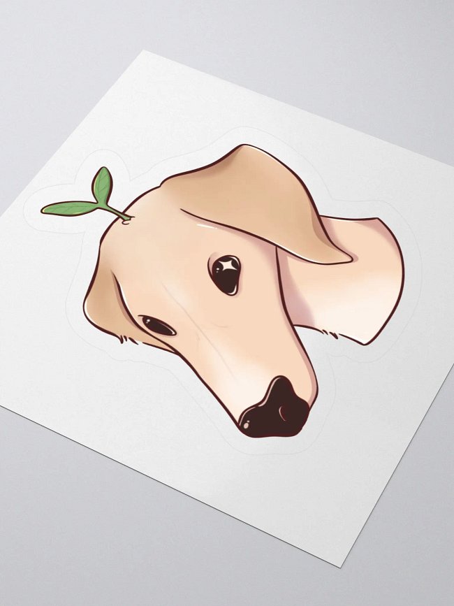 Joey Merch