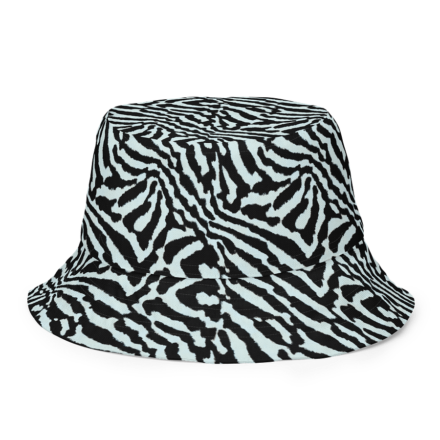 Blue Zebra Hat product image (2)