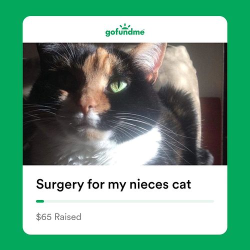 A viewer needs help https://gofund.me/8560d661