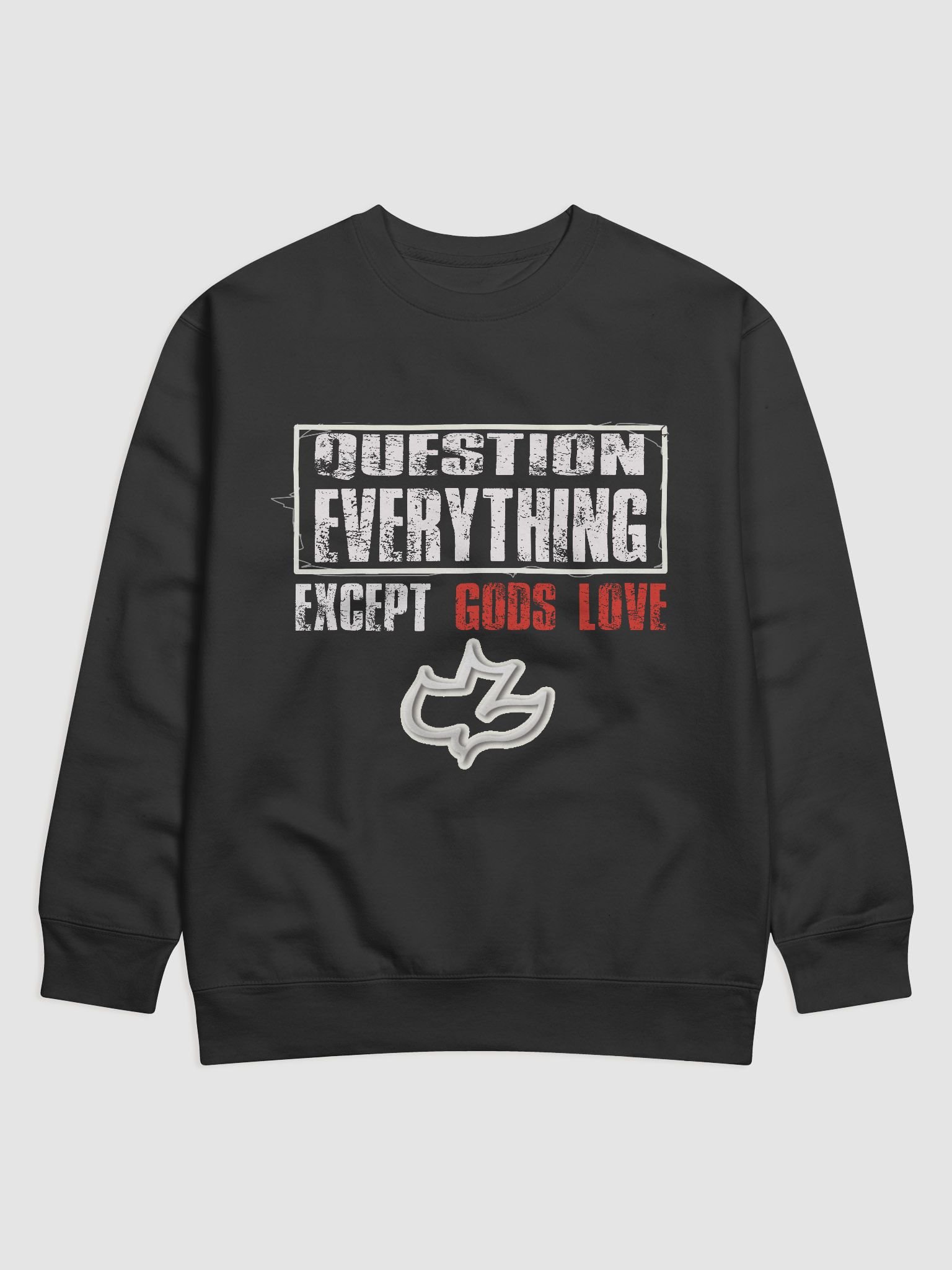 Question Everything Comfort Premium Sweatshirt product image (1)