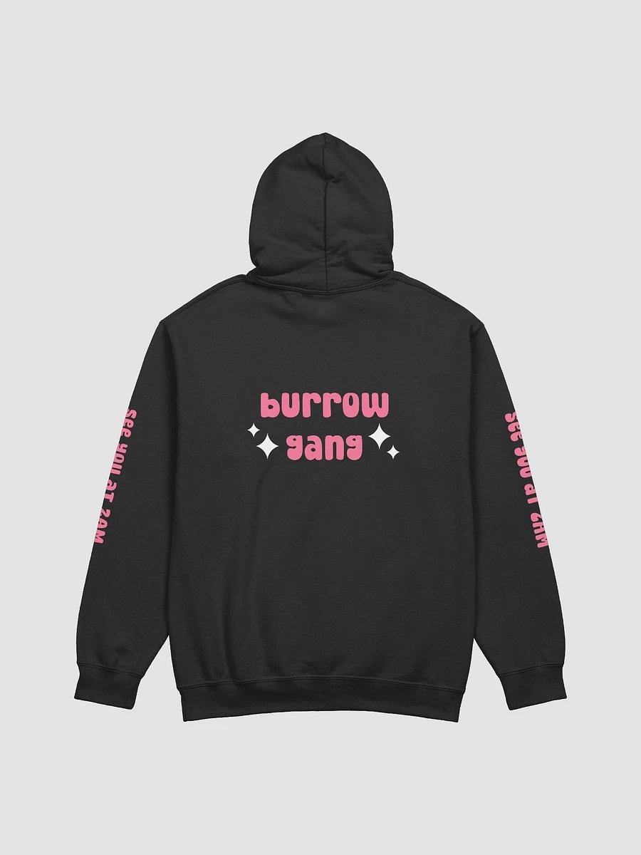 burrow gang ⟡ double-sided printed hoodie [8 colors] product image (2)