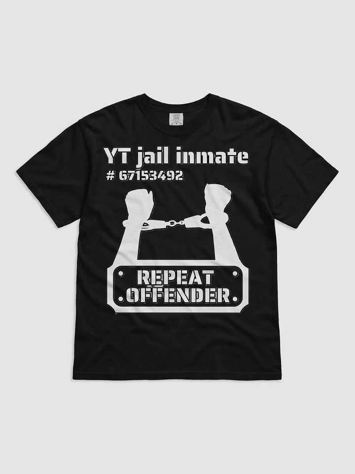 YT JAIL INMATE REPEAT OFFENDER product image (10)