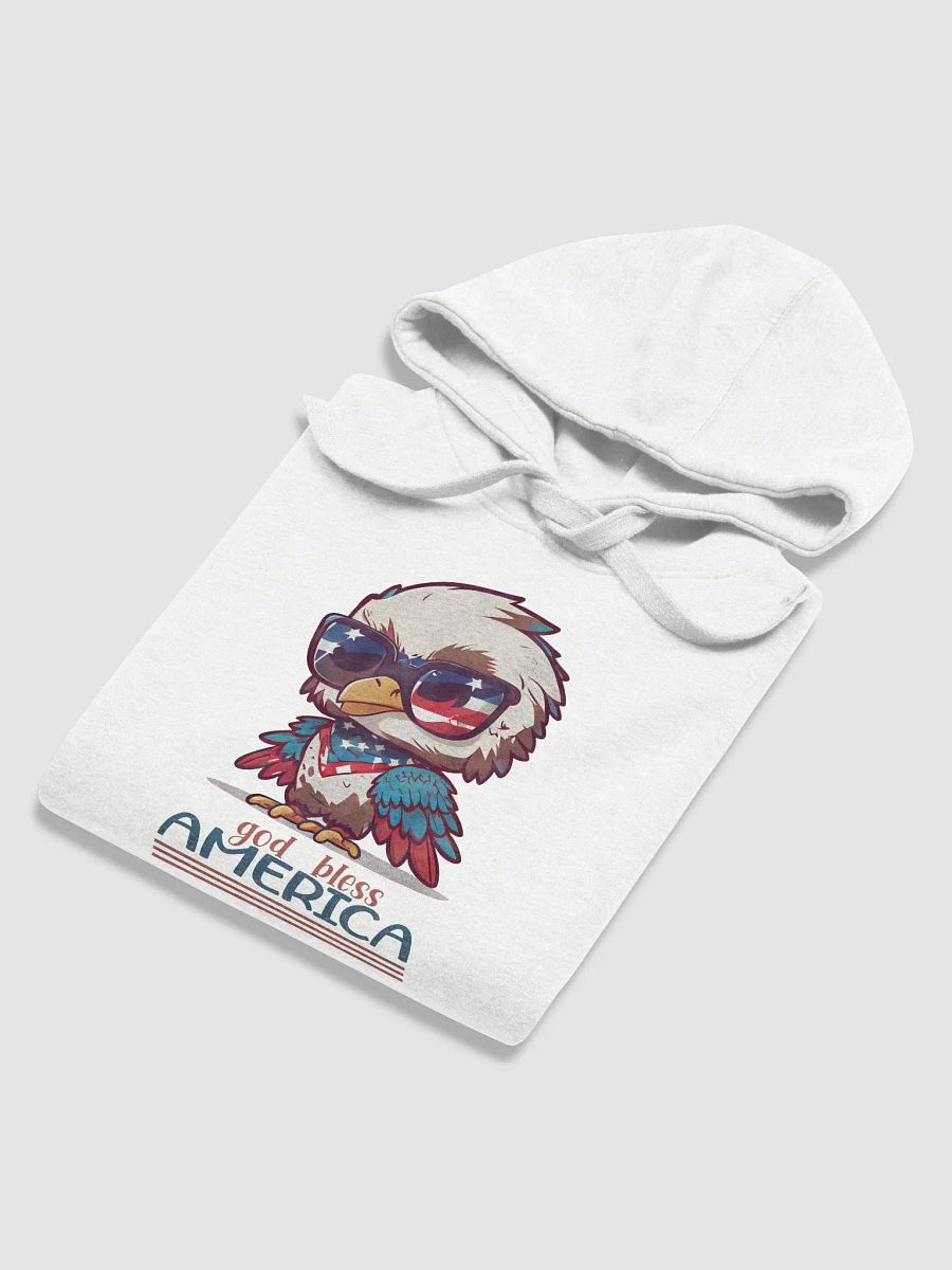 Eagle Valor Voter Hoodie product image (6)
